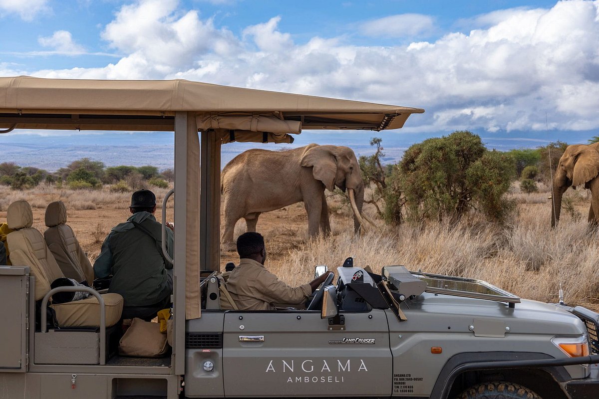 Angama Amboseli